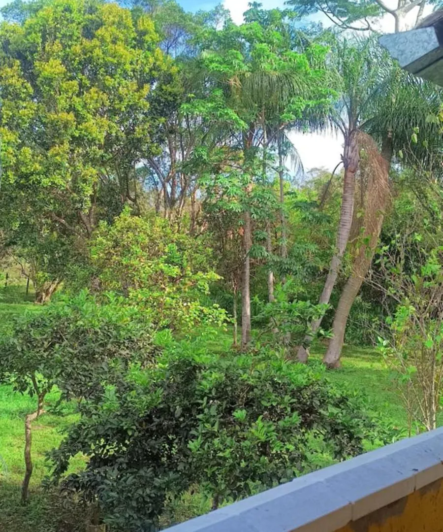 Casa Proximo Canas Vieiras E Ingleses Florianópolis